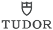 Logo Tudor