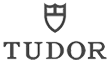Logo Tudor