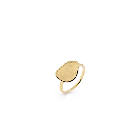 Annamaria Cammilli Velvet Ring aus Gelbgold