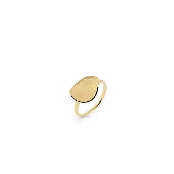 Annamaria Cammilli Velvet Ring aus Gelbgold
