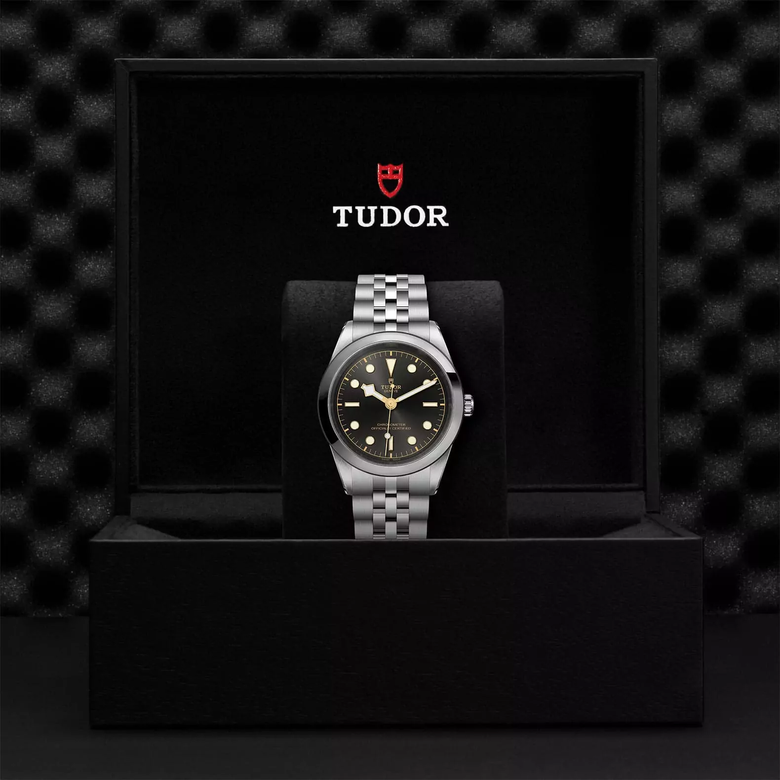 Tudor Black Bay 41 mit Gehäuse und Band aus Edelstahl und anthrazitfarbenem Zifferblatt in der Box