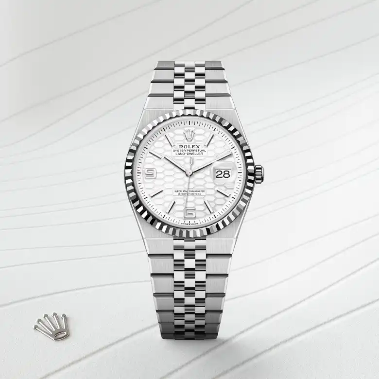 Rolex Land-Dweller in Rolesor weiß (Kombination aus Edelstahl Oystersteel und Weißgold), Frontansicht