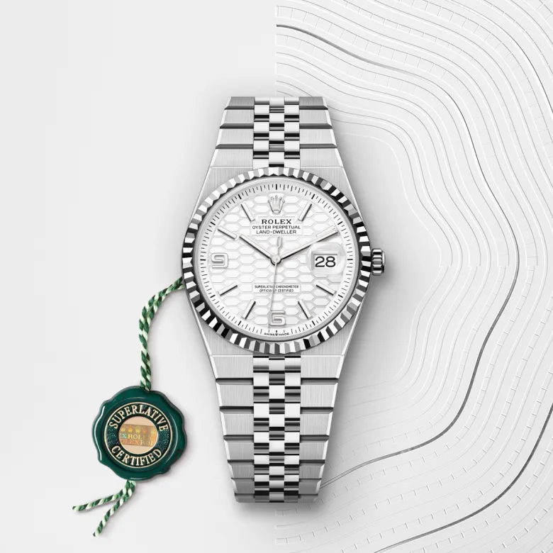 Rolex Land-Dweller in Rolesor weiß (Kombination aus Edelstahl Oystersteel und Weißgold), M127234-0001 - S.M.WILD