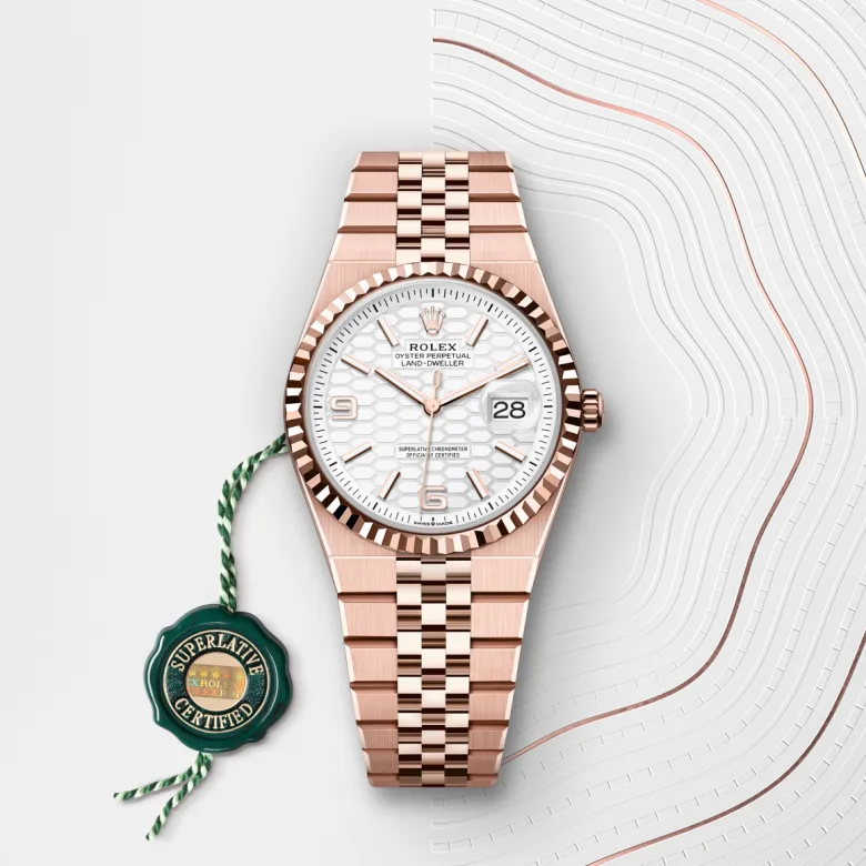 Rolex Land-Dweller in 18 Karat Everose-Gold, M127235-0001 - S.M.WILD