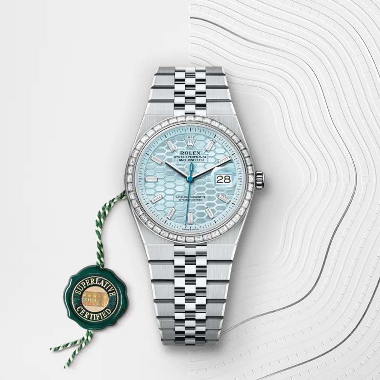 Rolex Land-Dweller in Platin, M127286TBR-0001 - S.M.WILD
