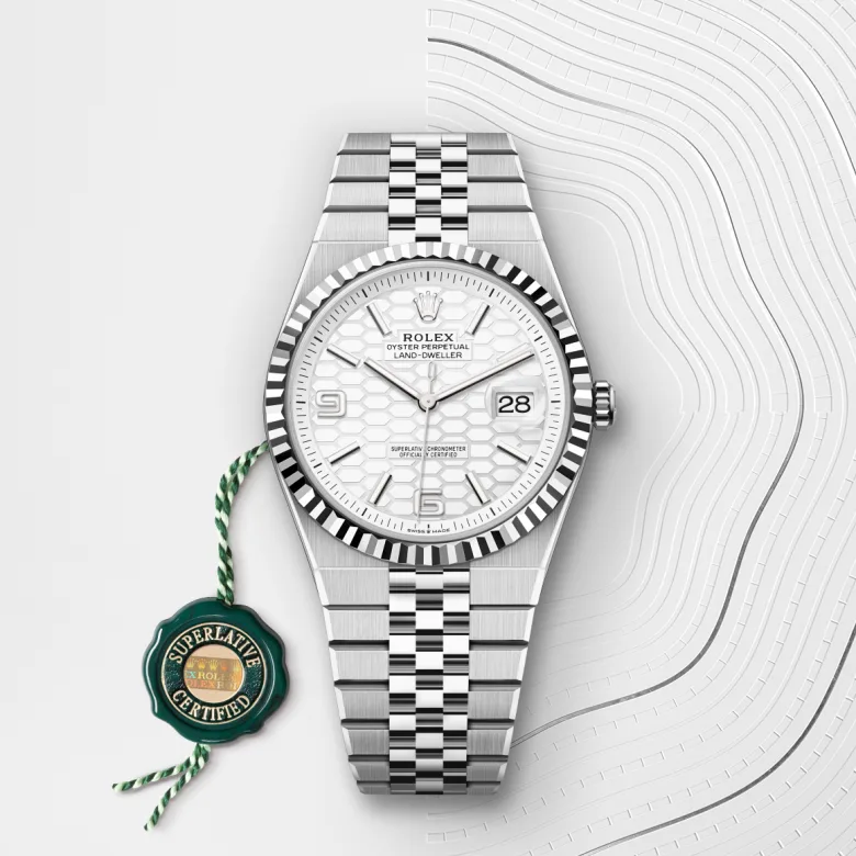 Rolex Land-Dweller in Rolesor weiß (Kombination aus Edelstahl Oystersteel und Weißgold), M127334-0001 - S.M.WILD
