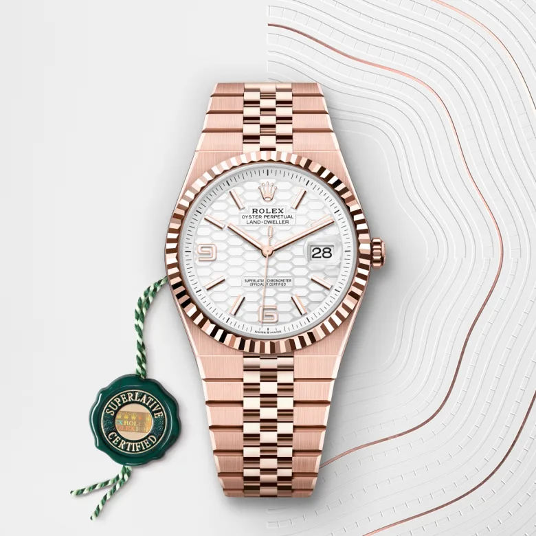 Rolex Land-Dweller in 18 Karat Everose-Gold, M127335-0001 - S.M.WILD