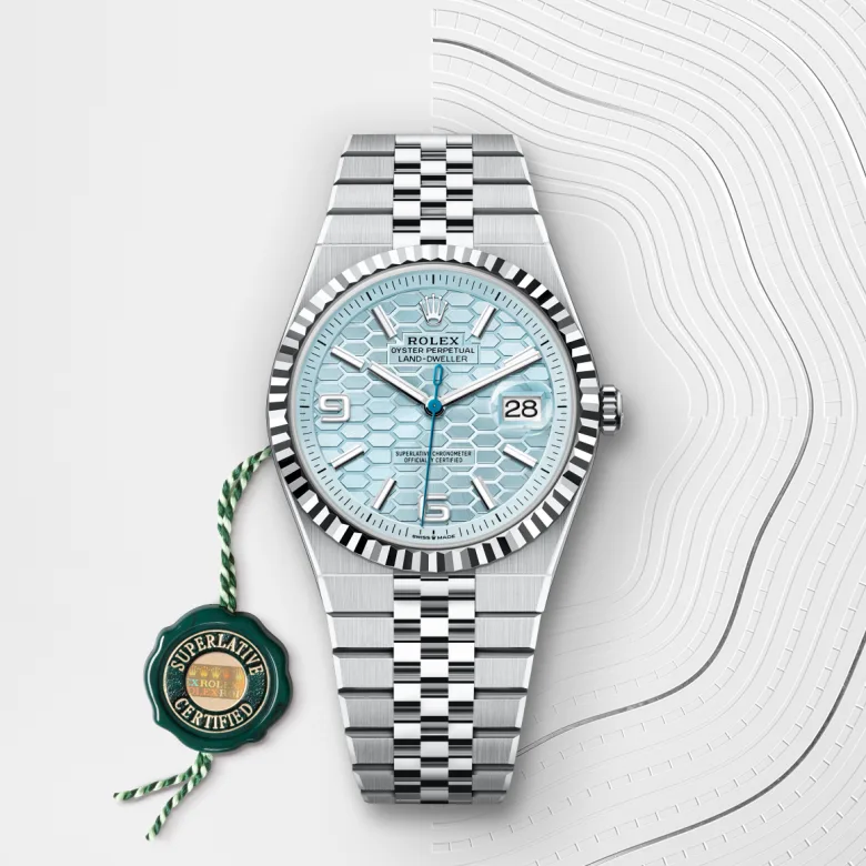 Rolex Land-Dweller in Platin, M127336-0001 - S.M.WILD