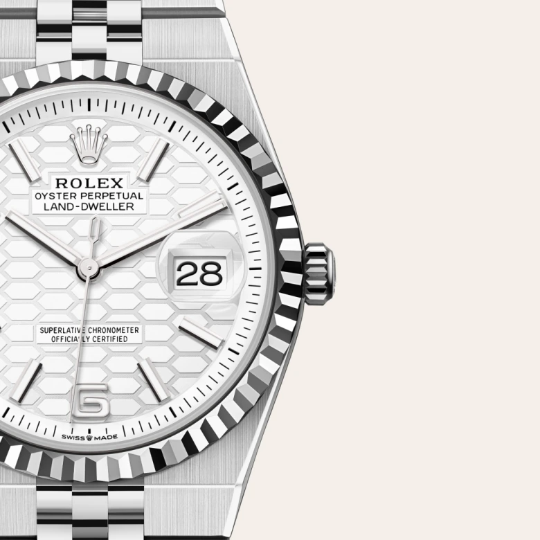 Rolex Land-Dweller in Rolesor weiß (Kombination aus Edelstahl Oystersteel und Weißgold), M127234-0001 - S.M.WILD