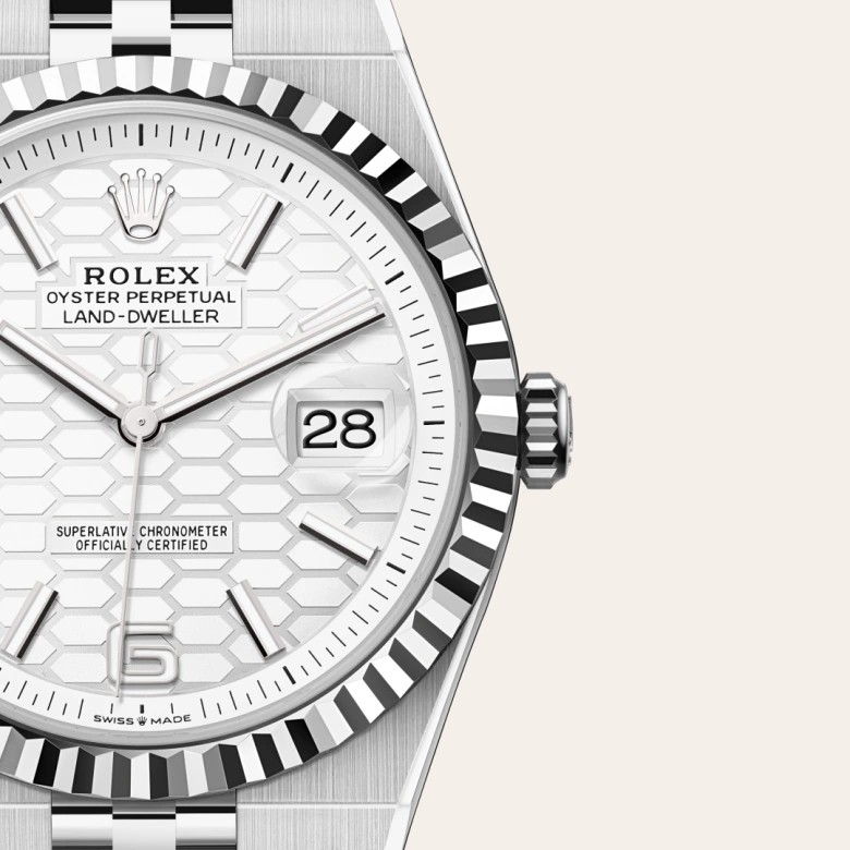 Rolex Land-Dweller in Rolesor weiß (Kombination aus Edelstahl Oystersteel und Weißgold), M127334-0001 - S.M.WILD
