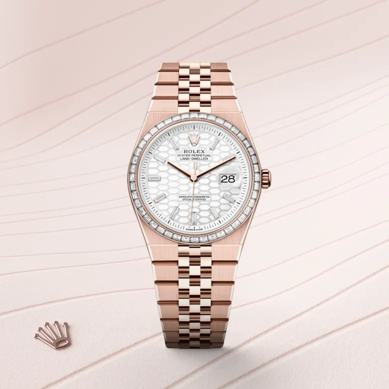 Rolex Land-Dweller in 18 Karat Everose-Gold, M127285TBR-0002 - S.M.WILD