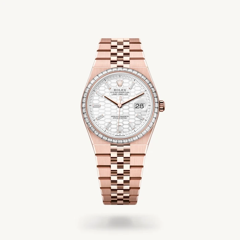 Rolex Land-Dweller in 18 Karat Everose-Gold, M127285TBR-0002 - S.M.WILD