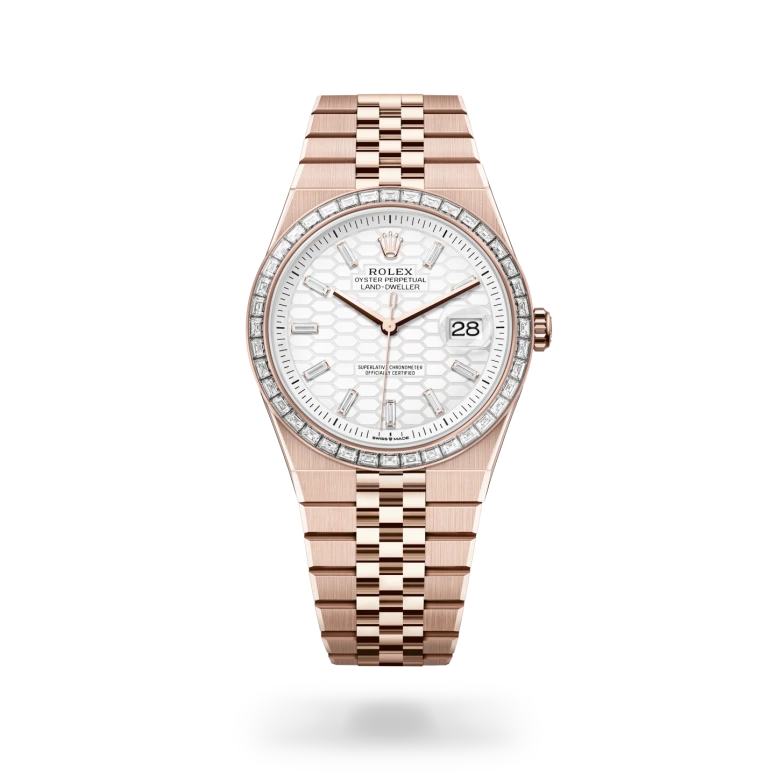 Rolex Land-Dweller in 18 Karat Everose-Gold, M127385TBR-0003 - S.M.WILD